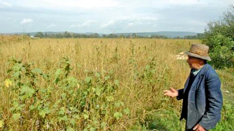 Cioloş: UE pierde în fiecare zi 275 de hectare de terenuri agricole, echivalentul a 360 de terenuri de fotbal