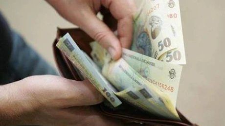 Rovana Plumb: Salariul minim pe economie va creşte cu 75 de lei, semestrial, din ianuarie 2015