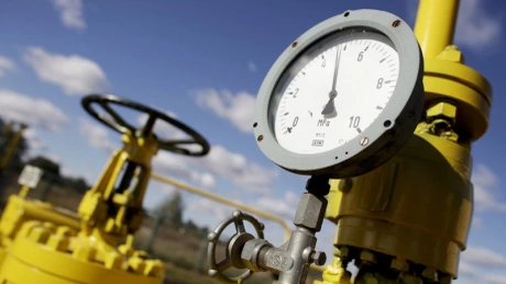 Criza gazelor: O posibilă soluţie ar fi ca UE să achite datoria Ucrainei la gaz - ministrul economiei austriac
