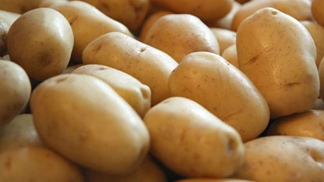 Oros: România plătește anual 64 de milioane de euro pentru a importa cartofi, pe care ar putea să-i cultive în țară