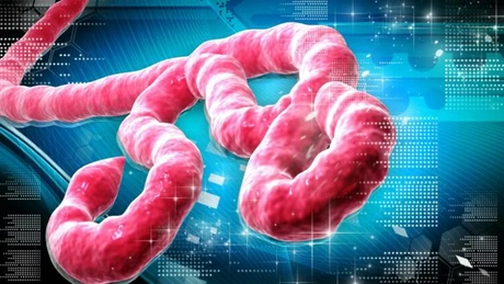 OMS consultă experţii în etică pentru a decide asupra folosirii medicamentelor experimentale împotriva Ebola