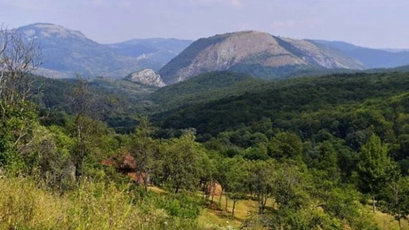 Investiţie de 5 milioane dolari pentru crearea unui parc naţional de importanţă mondială în Munţii Făgăraş
