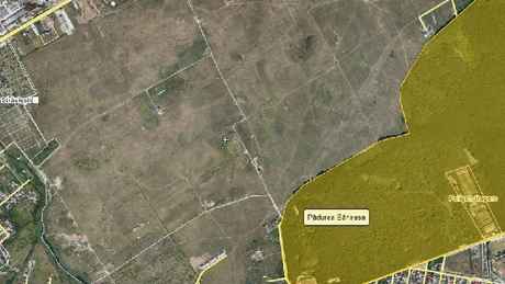 PMB anunţă că nu intenţionează să efectueze defrişări în Pădurea Băneasa, ci să redea bucureştenilor o zonă de recreere