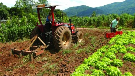 Agricultura este subfinanţată. Doar 3-4% din totalul creditelor au fost destinate agriculturii