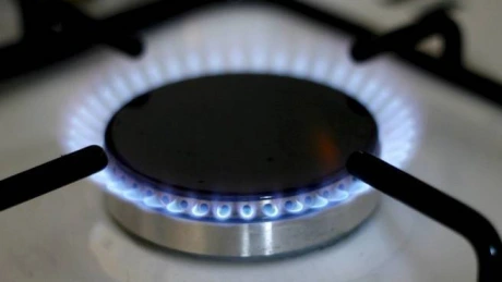 Nicolescu: Rog companiile energetice să nu mai facă lobby la Bruxelles pentru a creşte preţul gazelor