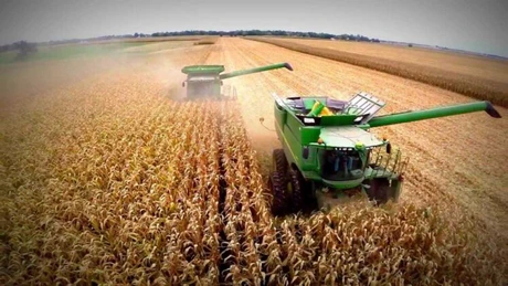 Isărescu: Producţia de porumb, cartofi şi floarea soarelui va fi afectată susbstanţial de secetă