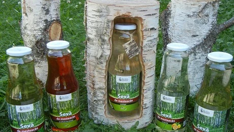 Seva de mesteacăn, transformată în afacere profitabilă de un antreprenor român din Iaşi