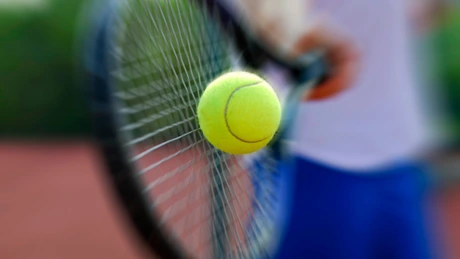 Guvernul vrea meciuri de cupa Davis pe Academia de Tenis din Bucureşti în care investeşte 13 milioane de euro