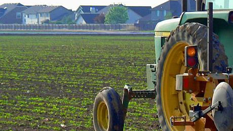 Cât au câștigat românii care au investit în terenuri agricole în ultimele 12 luni
