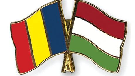 România şi Ungaria trebuie să coopereze în domeniul asigurării conexiunilor pentru energie electrică şi gaze naturale - Gerea