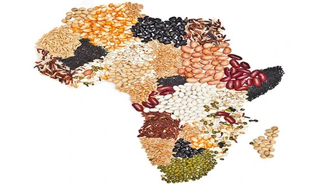 Mâncare din ţări exotice pe masa românilor. Cât importăm din statele africane