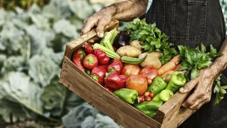 Ce se întâmplă cu fenomenul Slow Food care a revoluţionat alimentaţia mondială. România nu mai este pe harta Earth Market