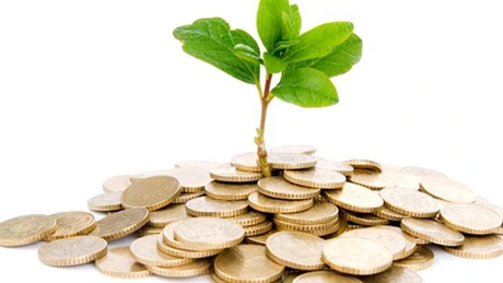 Constantin: Încercăm să eliberăm de marţi adeverinţe fermierilor din sectorul vegetal, pentru obţinerea de credite-punte