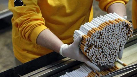 Amânarea transpunerii Directivei tutunului poate determina blocarea producţiei şi pierderi de 230 milioane euro la buget
