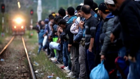 Peste 700.000 de imigranţi au sosit în Europa prin Mediterană în acest an