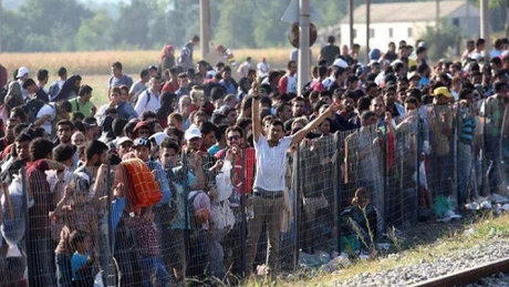 Criza imigranţilor: Guvernul german aprobă înăsprirea unor condiţii de acordare a azilului