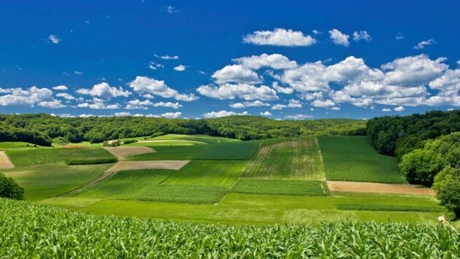Proiect: Condiţii dure pentru străinii care vor să cumpere terenuri agricole în România