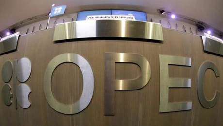 OPEC vrea cea mai accentuată reducere a producţiei de petrol, după 2008. Are nevoie de acordul Rusiei