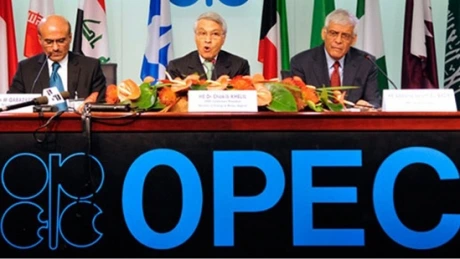 Rusia a câştigat şase miliarde de dolari în urma colaborării cu OPEC
