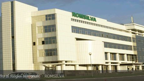 Viitorul director general al Romsilva va fi ales în urma unui concurs şi nu va fi desemnat de Guvern