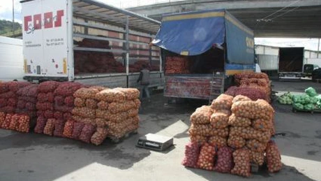 FORT: Sute de camioane încărcate cu fructe şi legume aşteaptă zeci de ore angajaţii ANAF, care nu fac faţă