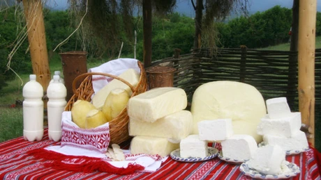 CE a emis o alertă privind infectarea cu E.Coli a brânzei din lapte de oaie din România