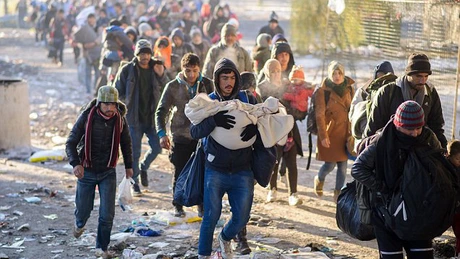 14 migranţi din Siria şi Iran prinşi la frontiera cu Serbia