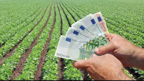 Record de plăţi în agricultură. Până la finele lui noiembrie, fermierii vor încasa peste 1 miliard de euro subvenţii