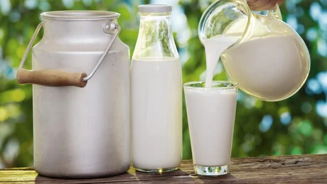 Producătorii de lapte cer Guvernului o subvenţie de 50 bani/litru pentru a depăşi criza în care se află