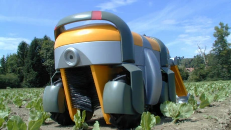 Uniunea Europeană introduce roboţii în agricultură