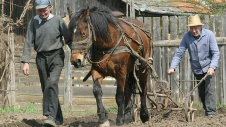 Guvernul a lansat Pachetul de măsuri pentru dezvoltarea clasei de mijloc la sate