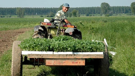 Patria Bank ajută fermierii să obţină fonduri europene pentru finanţarea activităţii agricole, în baza unui protocol încheiat cu AFIR
