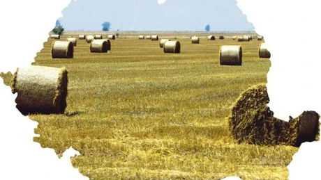 Alianţă daneză pe piaţa terenurilor agricole din România: Romania Farm Invest şi Jantzen Development au de investit 3,7 milioane de euro