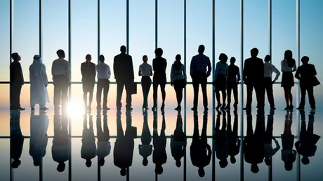 MFP vrea încă un post de secretar de stat, unul de economist-şef şi peste 60 de posturi noi - proiect