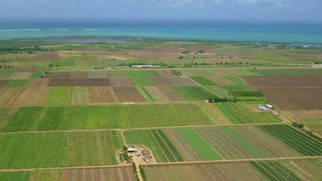 Ministrul Agriculturii: 15 bănci sunt interesate să crediteze fermierii pentru achiziţia de terenuri agricole