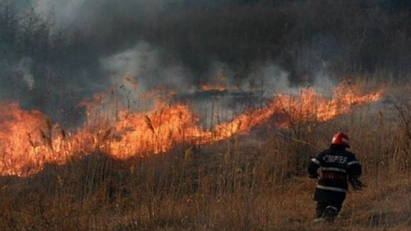 Buzău: Peste 125 de hectare de vegetaţie uscată incendiate în ultimele 24 de ore
