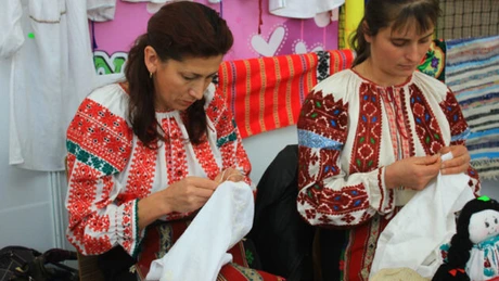 Guvernul a avizat un Memorandum privind instituirea unei scheme de ajutor de minimis pentru meşteşuguri şi artizanat