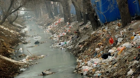 România împrumută 48 de milioane de euro de la BIRD pentru controlul poluării cu nutrienţi