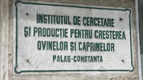 Guvernul reorganizează Institutul de Cercetare-Dezvoltare pentru Creşterea Ovinelor şi Caprinelor - Palas