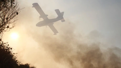 Romsilva: Peste 75% din incendiile de pădure sunt provocate de focul lăsat nesupravegheat