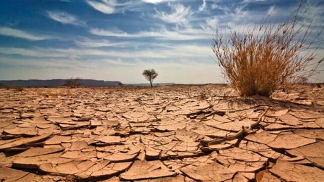 Sud-vestul SUA, ameninţat de o mega-secetă până la sfârşitul acestui secol