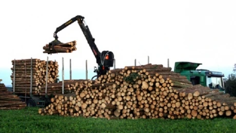 România a exportat articole din lemn de peste un miliard de euro, în 2016