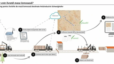 Holzindustrie Schweighofer a dezvoltat o aplicaţie ce permite supravegherea prin GPS a furnizorilor şi transportatorilor de lemn cu care lucrează