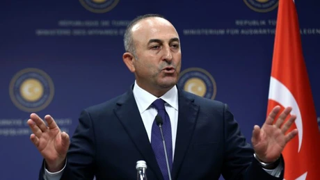 Olanda interzice aterizarea avionului ministrului turc de externe