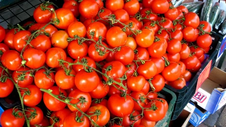 Peste 2.000 de fermieri au primit banii pentru tomatele româneşti. Şase milioane de euro, plătite până în prezent
