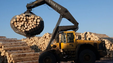 Holzindustrie: Încărcătura de lemne care nu va avea marcajul vizibil nu va fi procesată până ce nu va fi clarificată situaţia