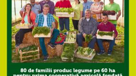 Carrefour a găsit soluţia să ofere legume româneşti. Francezii au făcut în Giurgiu Cooperativă care le asigură 100% din marfa de sezon