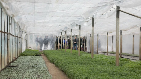 Programul Naţional de Dezvoltare Rurală 2014 - 2020: De când pot fi depuse cererile