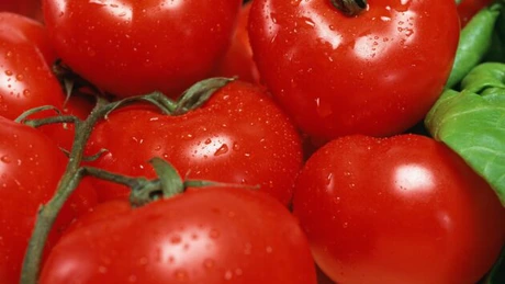 Programul de sprijin pentru tomate: 15.337 de cereri de înscriere până la 1 aprilie