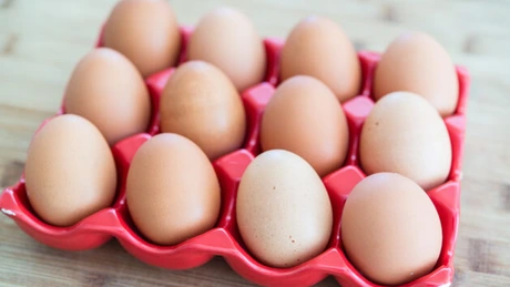 Urme ale unui al doilea insecticid sunt căutate în prezent în ouă, la ferme din Franţa